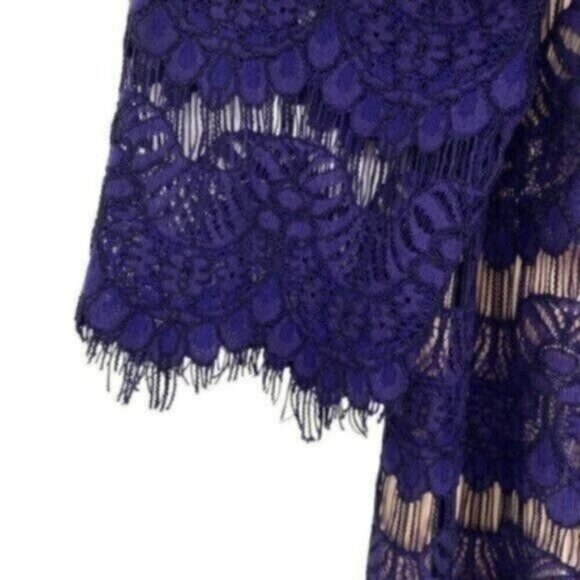 Jessica Howard Women's Lace Illusion Sheath Dress - Picture 14 of 15